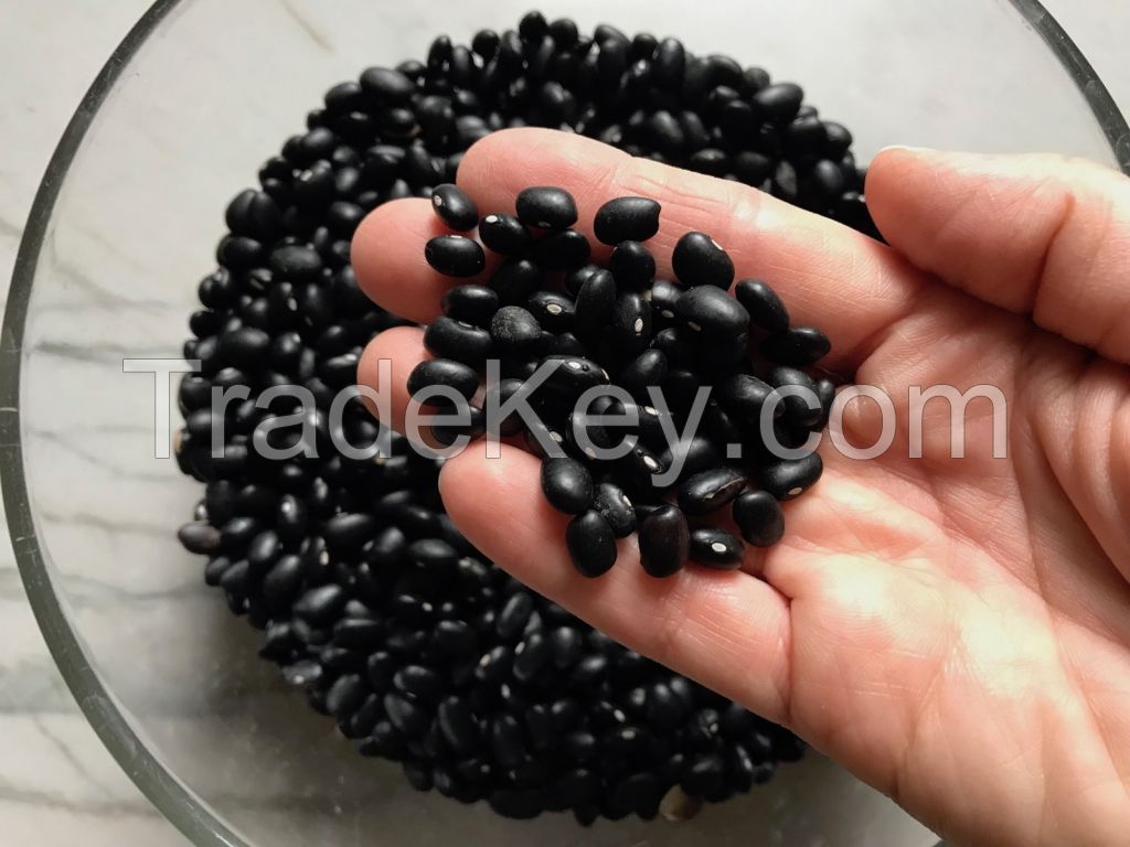 Direct Wholesale Good Quality Organic Black Beans Chinese Black Bean