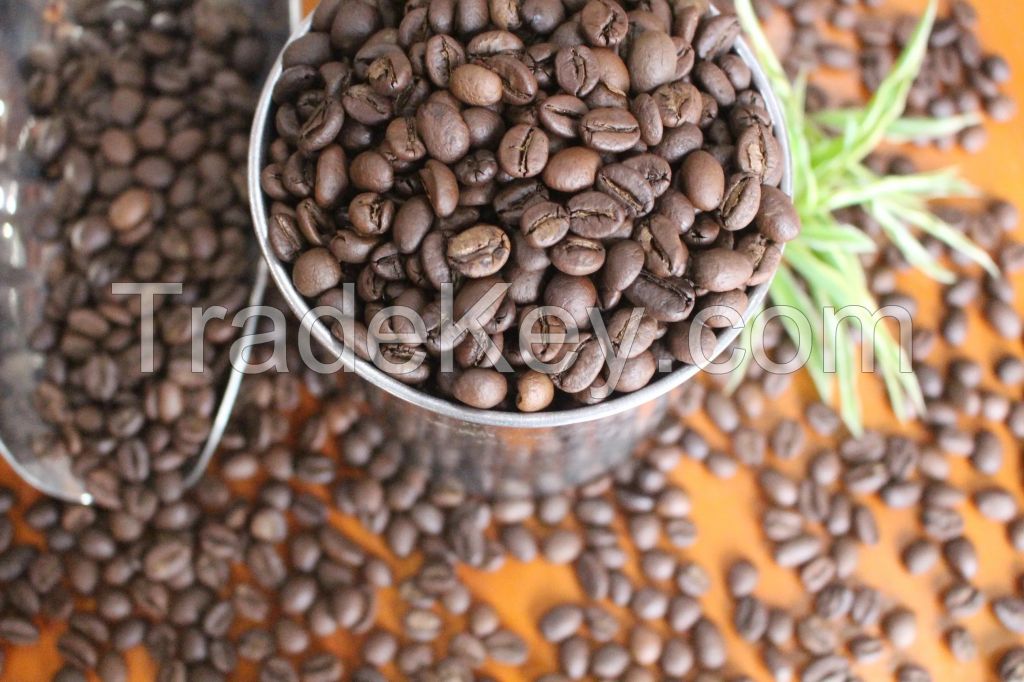 Good Quality Dried Robusta Coffee Beans