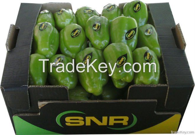 Green Pepper