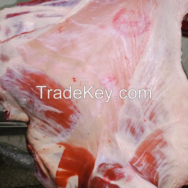 Frozen Buffalo and Veal Halal meat. - Continues supply Bobby Veal Bobby Veal Saudi Arabia