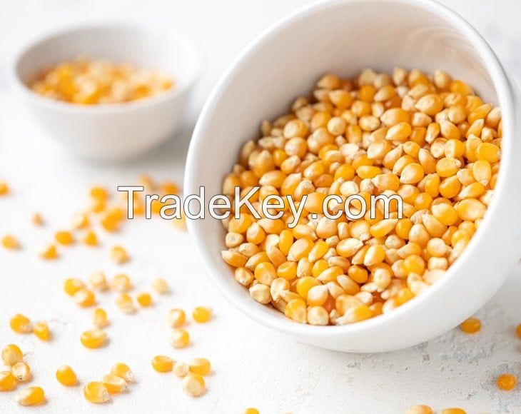 Organic Yellow Popcorn