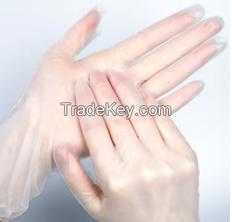 Powder Free Vinyl Gloves