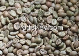 Robusta Coffee Beans Fast Shipping Custom Packaging Premium Quality Wholesale