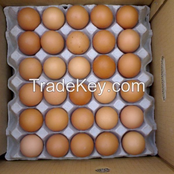 Sell Offer Chicken Eggs