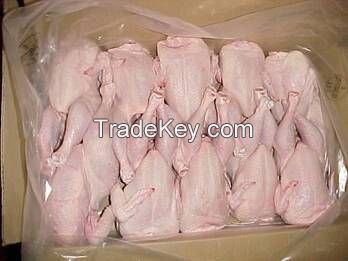 Sell Offer FROZEN WHOLE CHICKEN