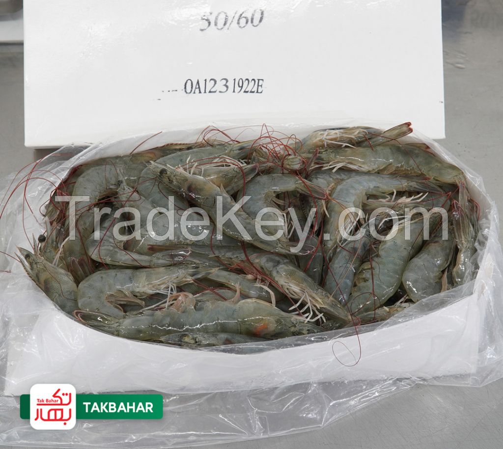 Frozen Vannamei Shrimp Supplier