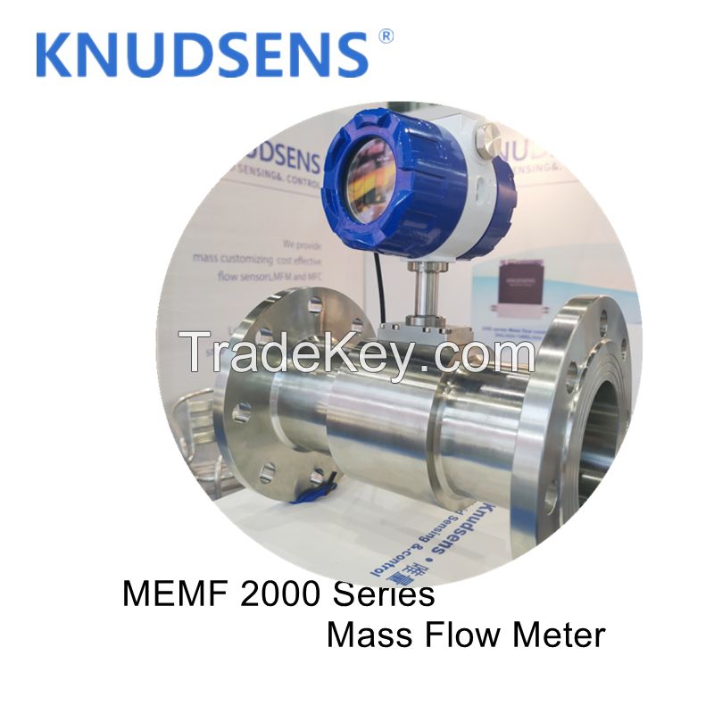 Mass Flow Meter