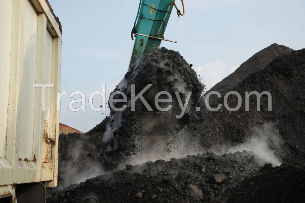 BIG Disc STEAM COAL