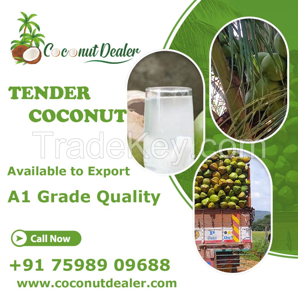 Tender Coconut