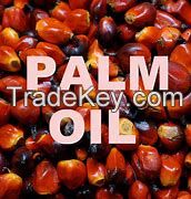 Palm Oil