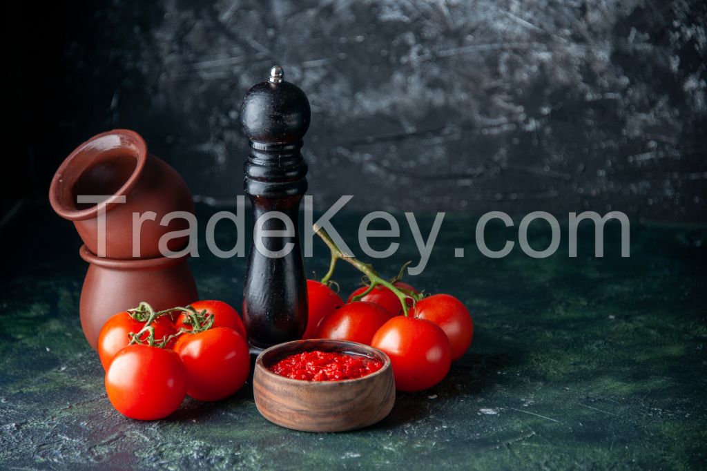 Export Opportunity for Quality Tomato Paste Products!