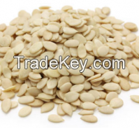 Top Quality Melon seeds