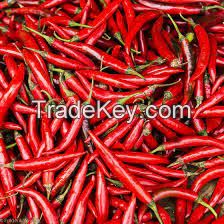 Red chili