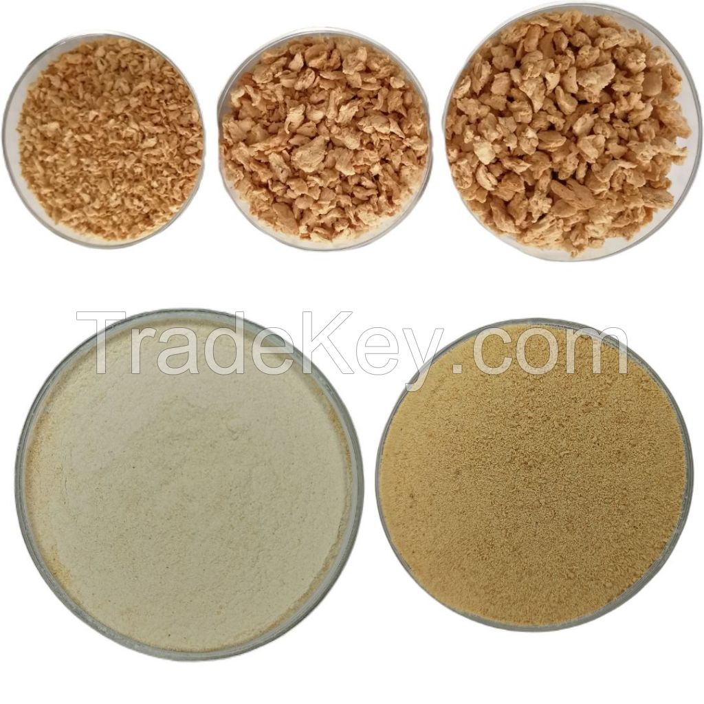 Textured soy protein