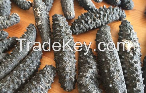 Buy Dried Sea Cucumber