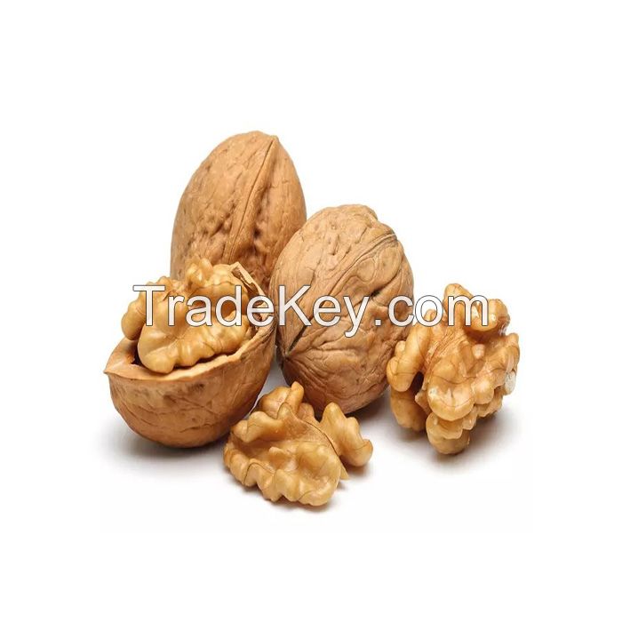 Health nuts kernels organic dried Walnuts without shell in bulk wholesale