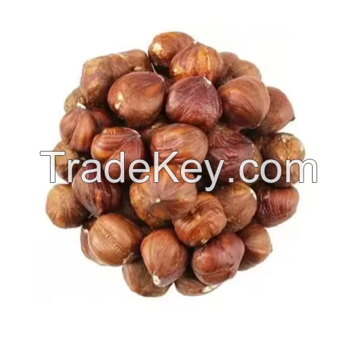 Shelled Hazelnuts Kernels wholesale Hazelnuts kernels Dry Hazelnuts for Sale