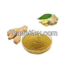 sales Water Soluble Ginger P.E/Gingerol