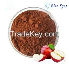 Apple P.E Apple Extract Apple polyphenols