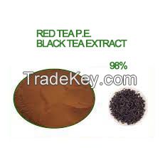 Red Tea P.E./Black tea extract tea polyphenols