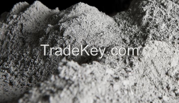 Portland cement