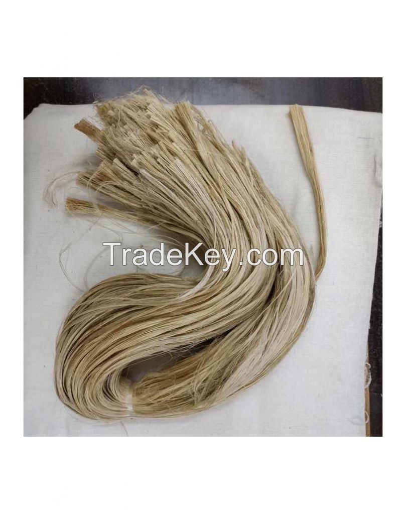 Exporters Premium Sisal Fiber Natural Sisal Buy Sisal Fiber, Gypsum Sisal Fiber, Sisal Fiber Product Cheap