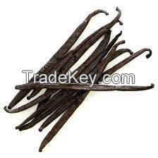 Manufacturer Supply Gourmet Vanilla Beans Whole Planifolia Vanille origin  with high quality