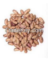 Best in Stock Natural Bulk Pinto Red Beans Economical Dried Red Speckled Kidney Beans for Food Cheap Price