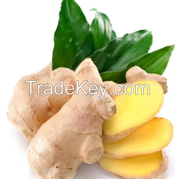 Supply Ginger Wholesale Fresh Ginger