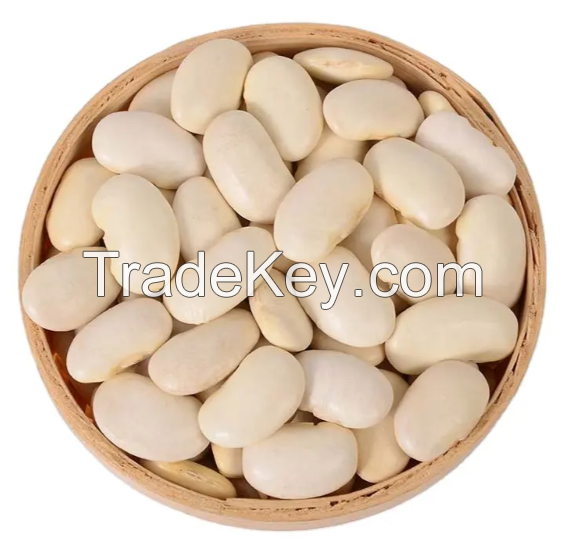 High-quality Factory Wholesale White Kidney Beans