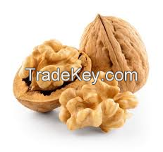 Special hot sale dryfruits walnuts for sale