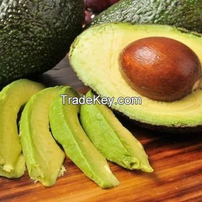 Fresh Avocado / Hass Avocado, Fuerte Avocado