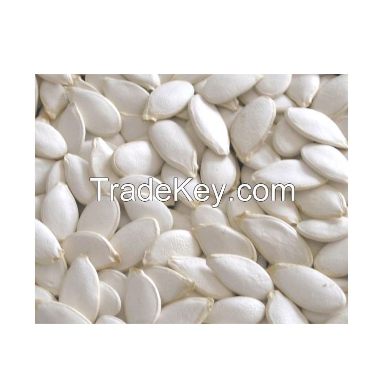 Quality Natural Snow White Pumpkin Seeds from Bulk Supplier