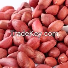 Best Quality Groundnuts Kernels