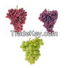 Grapes