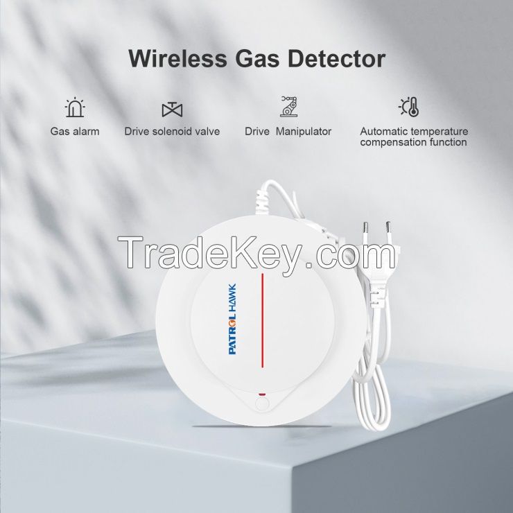 Wireless Gas Leakage Detector Hot Selling