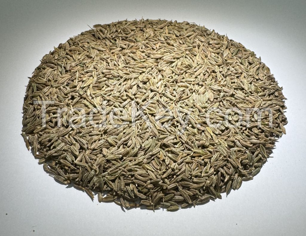 Green Cumin Seeds , Hight Quality