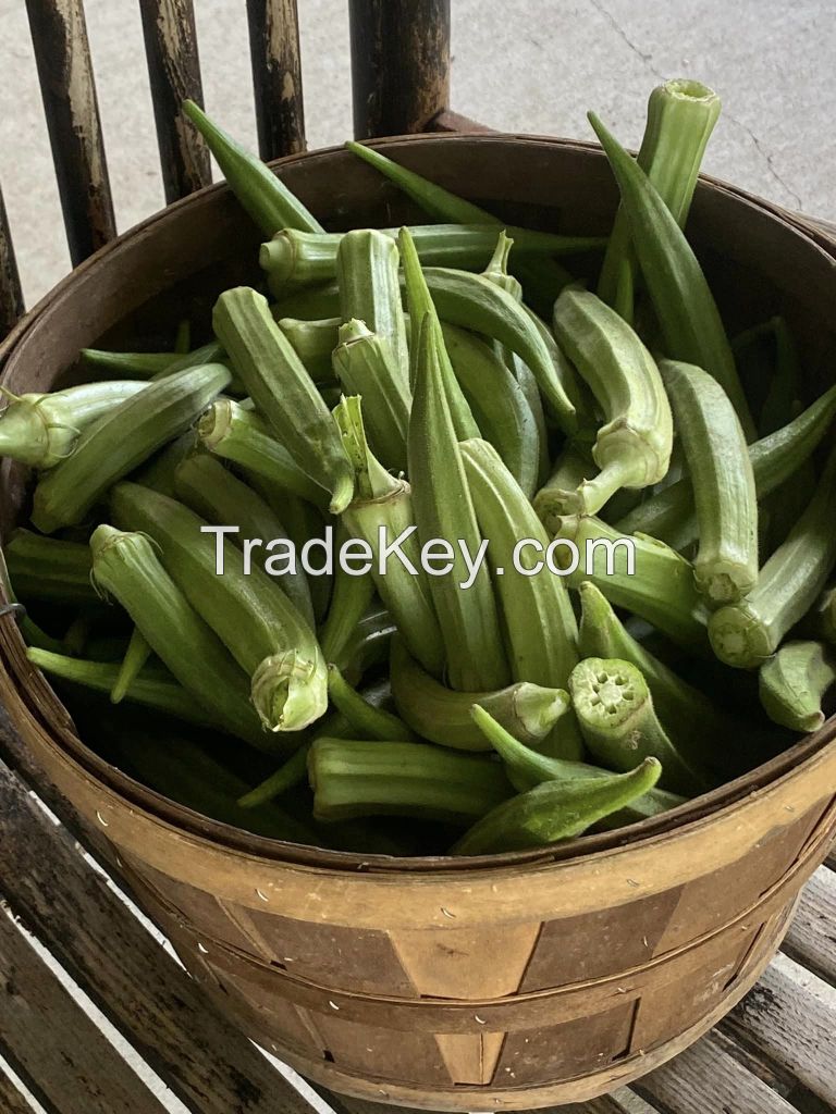 Fresh Okro