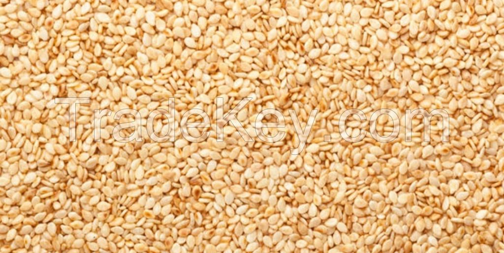 Natural White Sesame Seeds