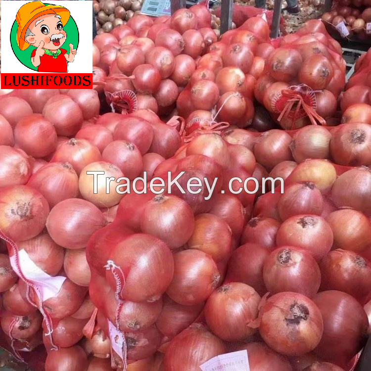 export fresh onion/onion powder/Chinese onion