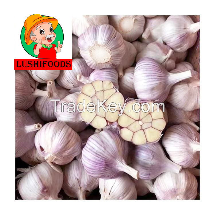 export fresh garlic/garlic powder/peeled garlic/Chinese garlic