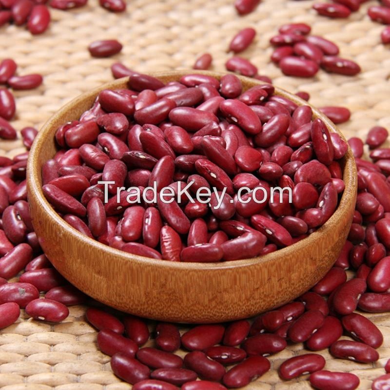 Red Kidney Beans Organic Dried Small Dark Red Kidney Beans