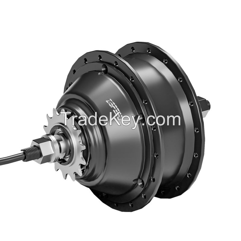 ZSM2136A 2 Speed 250W Automatic Hub Motor for Classic E-City Bikes