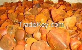 Gallstones Cow Ox Cattle Gallstones