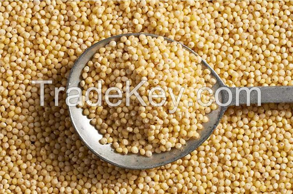 Millet