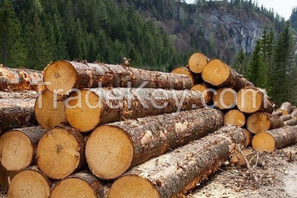 Raw logs, Air or Kiln Dried Lumber