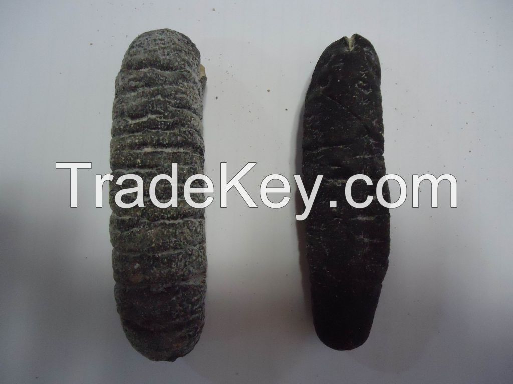 Dried Sea Cucumber