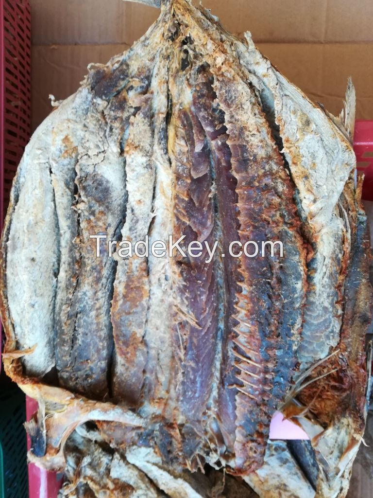 DRIED TUNA  DRIED skipjack tuna