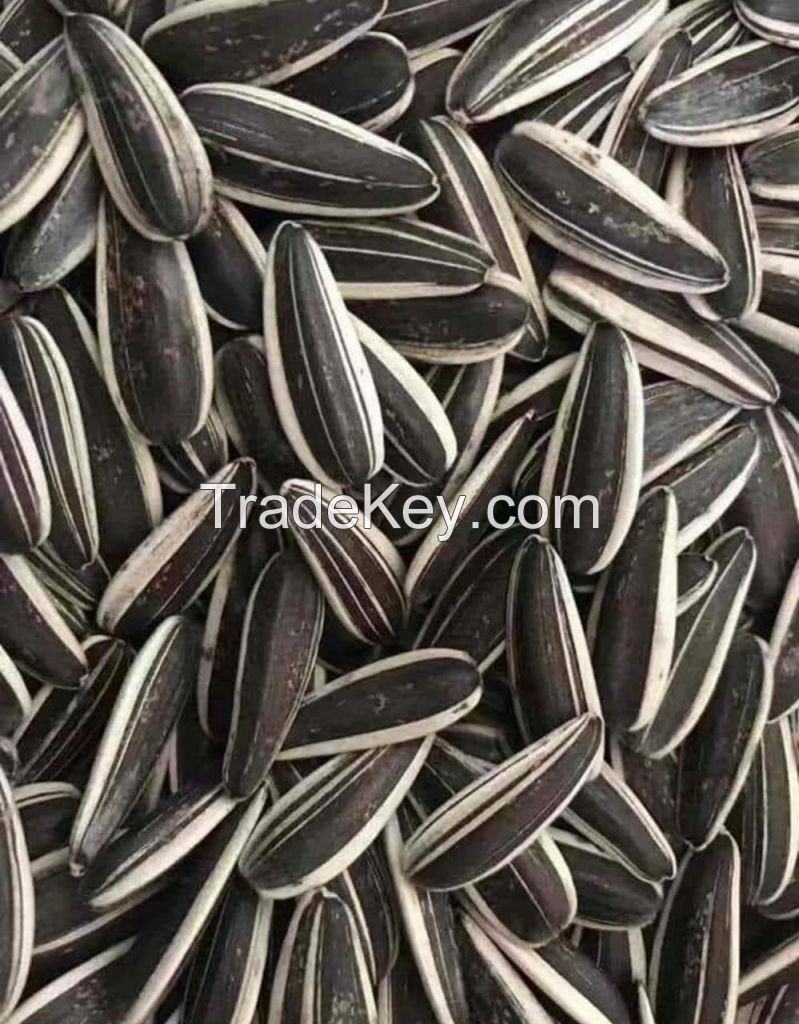Sunflower Seeds Seeds