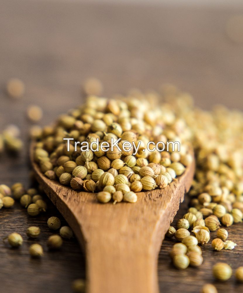 Coriander Seed
